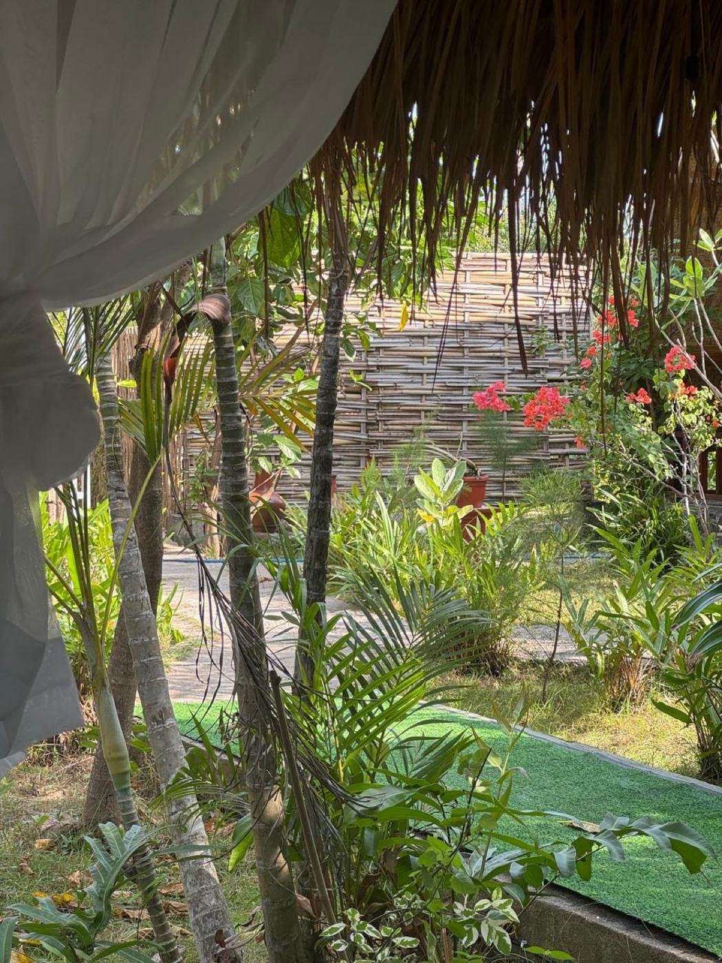 Garden path and greenery